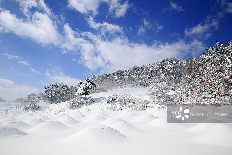 韩国平昌的冬季景观图片素材