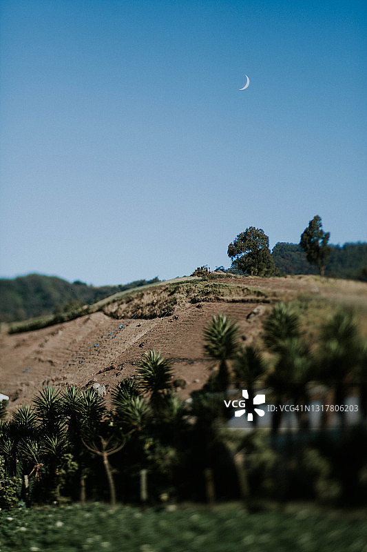 清晨的半月图片素材