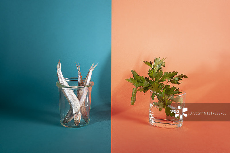 现代风味咸味凤尾鱼展示图片素材