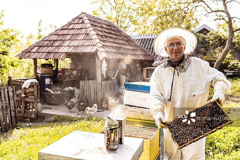 养蜂人采集蜂蜜图片素材