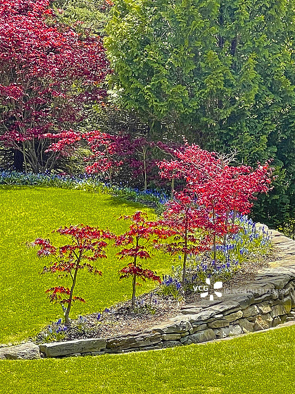 草坪上的树木螺旋图片素材