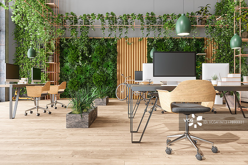 具有桌子、办公椅、吊灯、爬行植物和垂直花园背景的环保开放式现代办公室图片素材