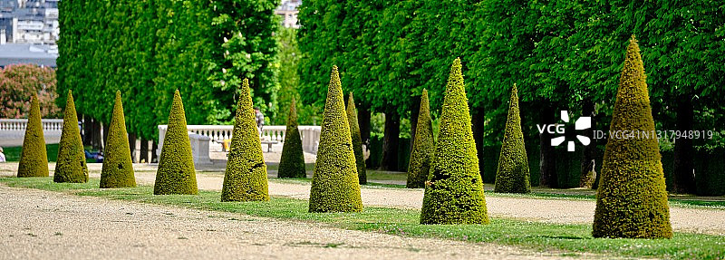 春季修剪树木图片素材