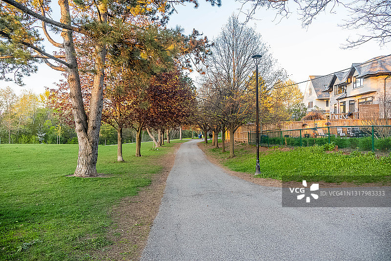 公园。图片素材