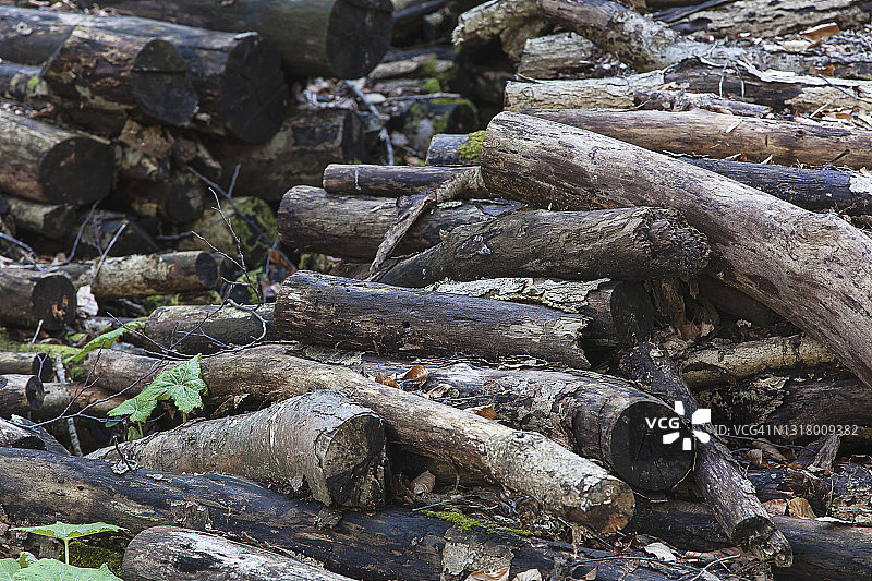 切碎的木堆图片素材