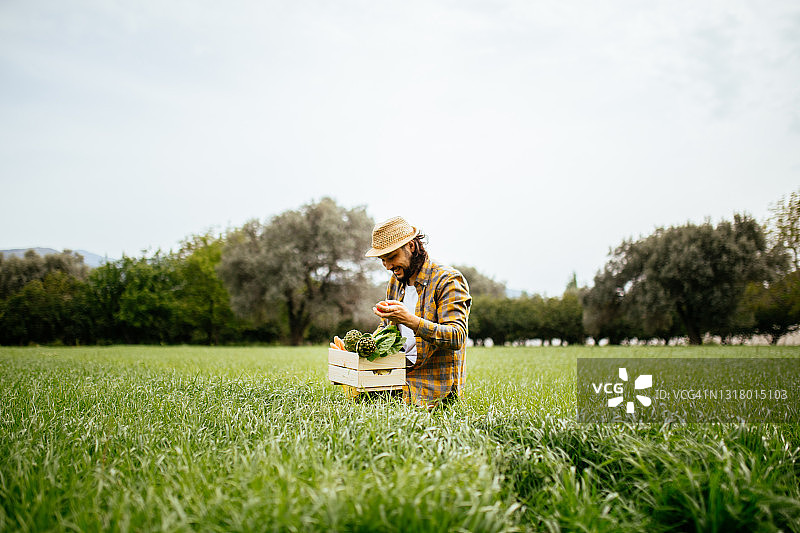 手拿装满生蔬菜的烤架图片素材