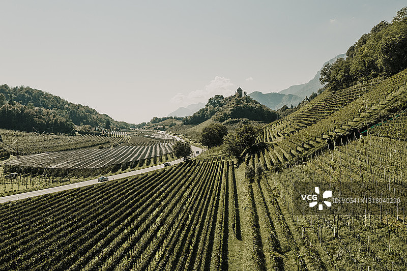 意大利博尔扎诺南蒂罗尔乡村公路旁的空旷葡萄园图片素材