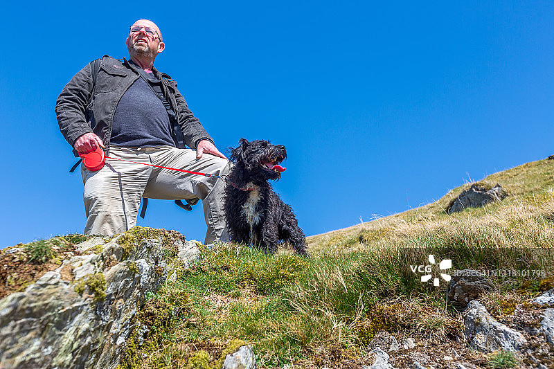秃顶男人和宠物梗犬图片素材
