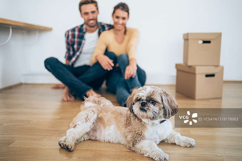 在新家地板上与小狗一起坐着的年轻夫妇图片素材