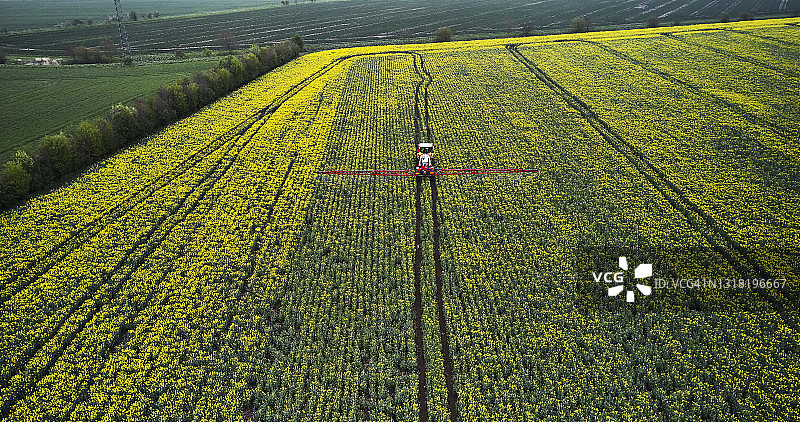 农夫在油菜上喷洒杀菌剂图片素材