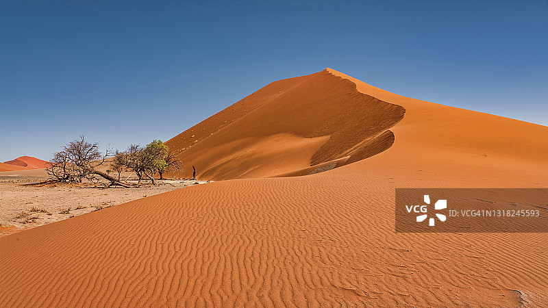 纳米比亚巨型沙漠沙丘全景沙丘45 ssriem图片素材