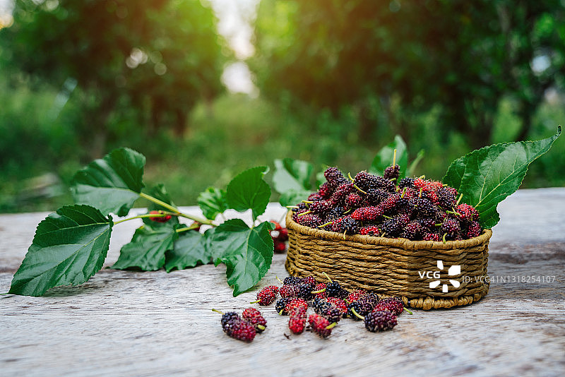 田野夏季木地板上的桑葚果，新鲜桑葚图片素材