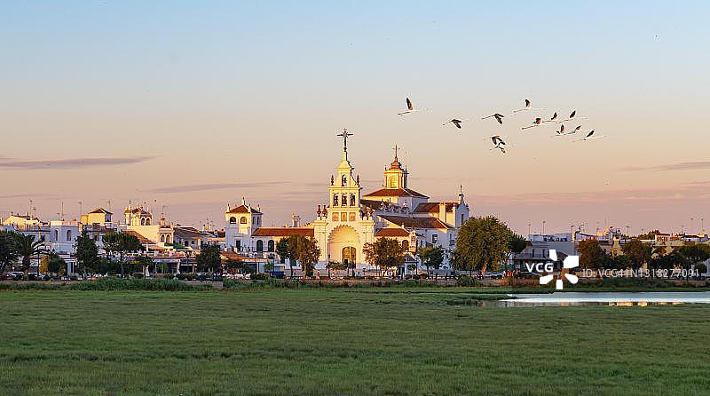 西班牙安达卢西亚韦尔瓦省埃尔罗西奥村，粉红火烈鸟图片素材