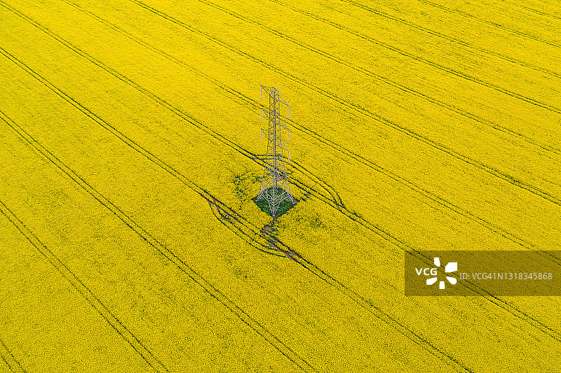 英国油菜籽田中的输电塔（无人机拍摄）图片素材