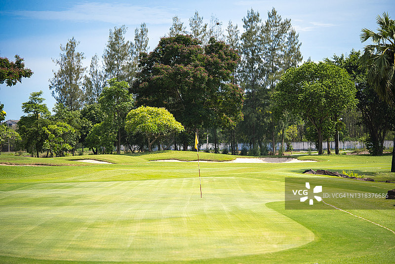 草坪优美的高尔夫球场图片素材