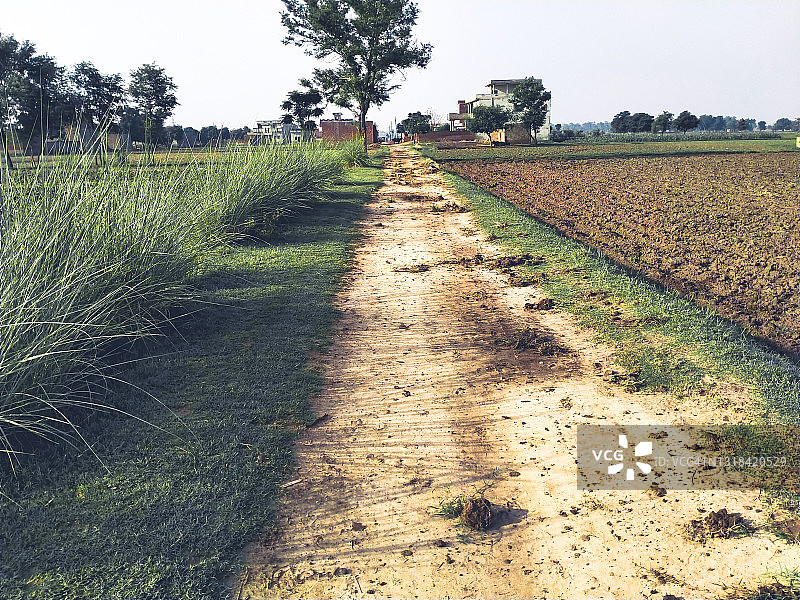 乡村小路图片素材