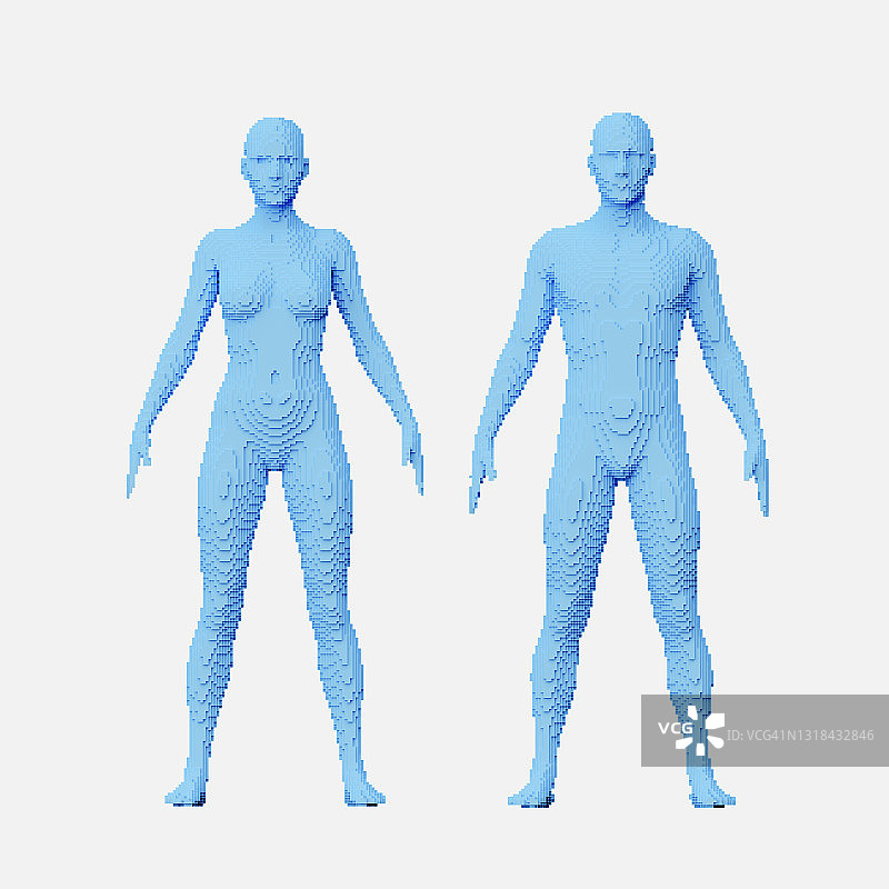 男性和女性完整身体体素模型的正面图图片素材