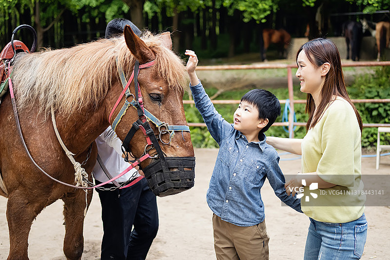 母亲和儿子与马图片素材
