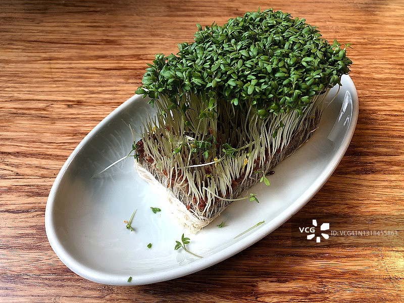 豆瓣菜图片素材