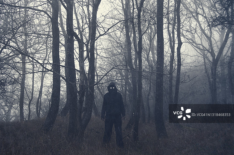 寒冷冬日，雾气弥漫的森林中发光的恐怖身影图片素材