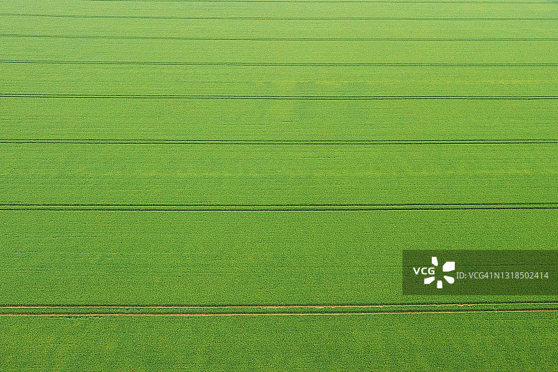 农田的无人机视角图片素材