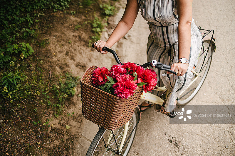自行车筐和红色牡丹图片素材