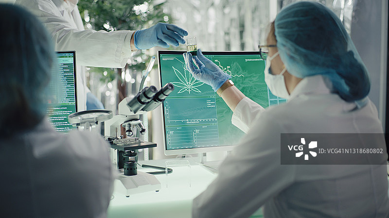 医用大麻研究：制备药用大麻二酚油图片素材