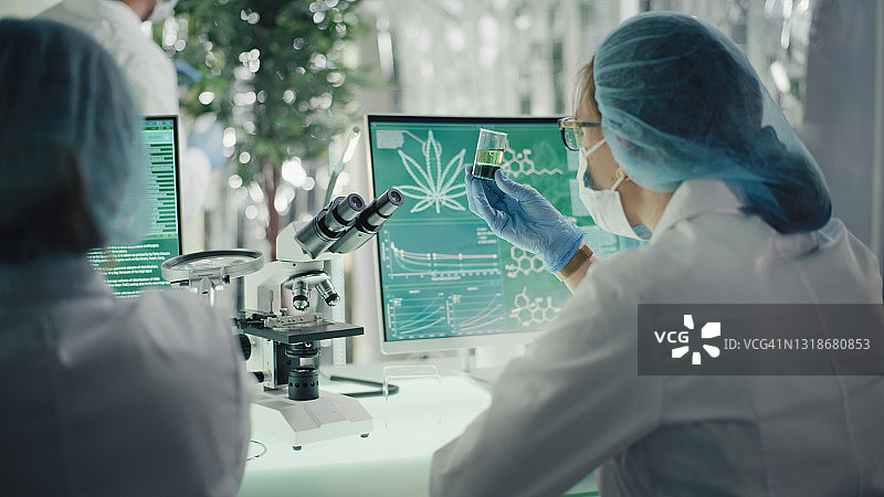 医用大麻研究：制备药用大麻二酚油图片素材