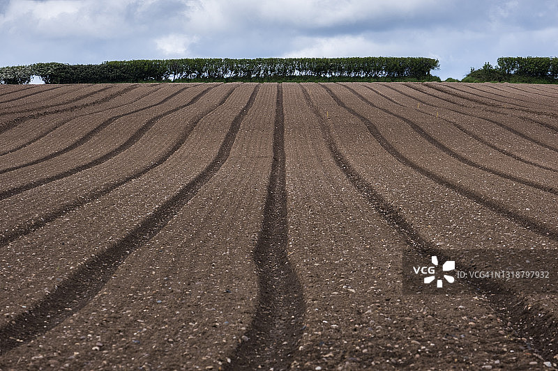 耙过的农田图片素材