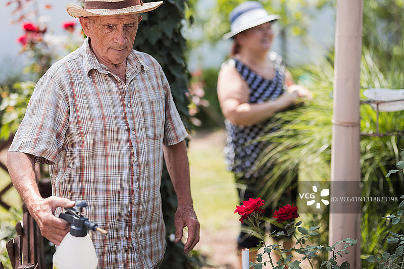 使用液体肥料的男人图片素材