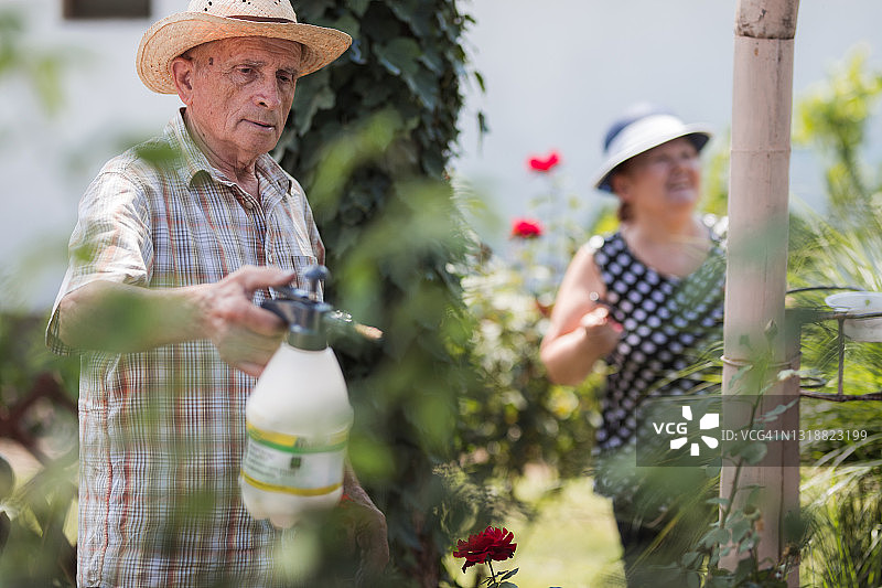 农民使用液体肥料图片素材