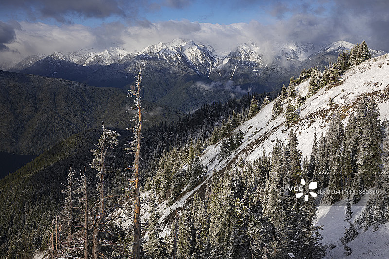 飓风岭新鲜降雪后的奥林匹克山脉图片素材
