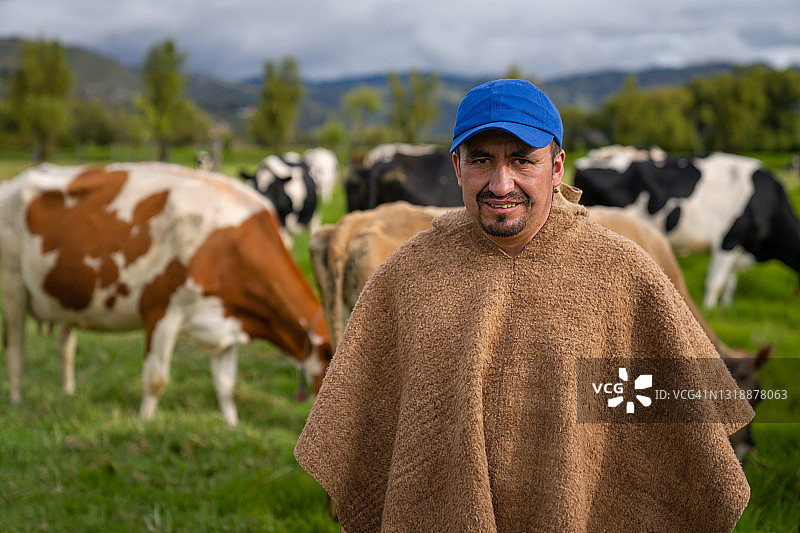在奶牛场工作的农民，照料牛群图片素材