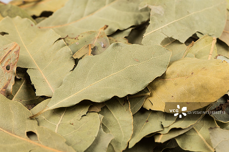 干燥的月桂叶背景照片图片素材