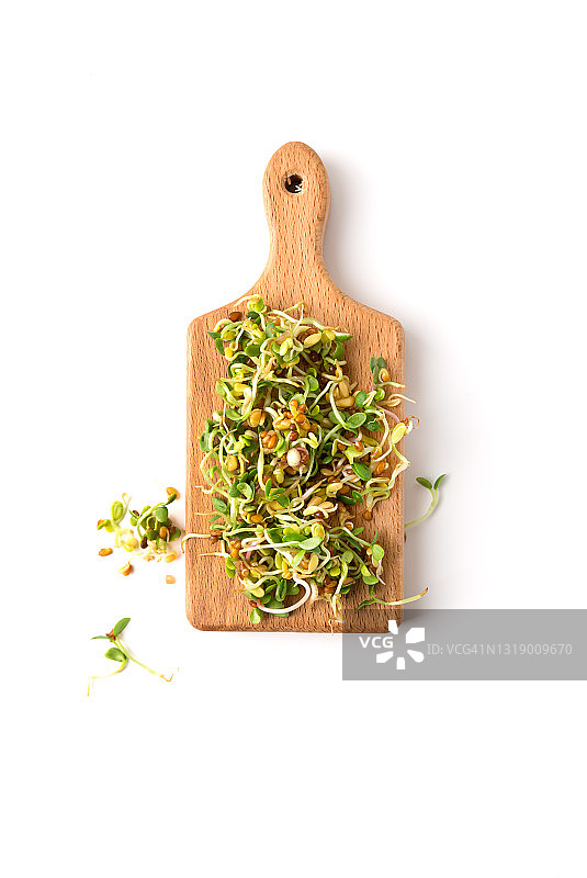 白色背景上的微型绿色嫩芽图片素材