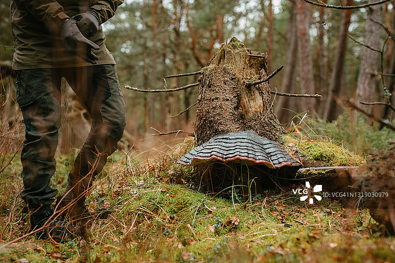 雾气笼罩的神秘峡谷森林，一个在散步的男人。站在一个大型枢纽旁边图片素材