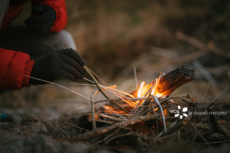 男子在松树林空地上准备篝火，手部特写图片素材