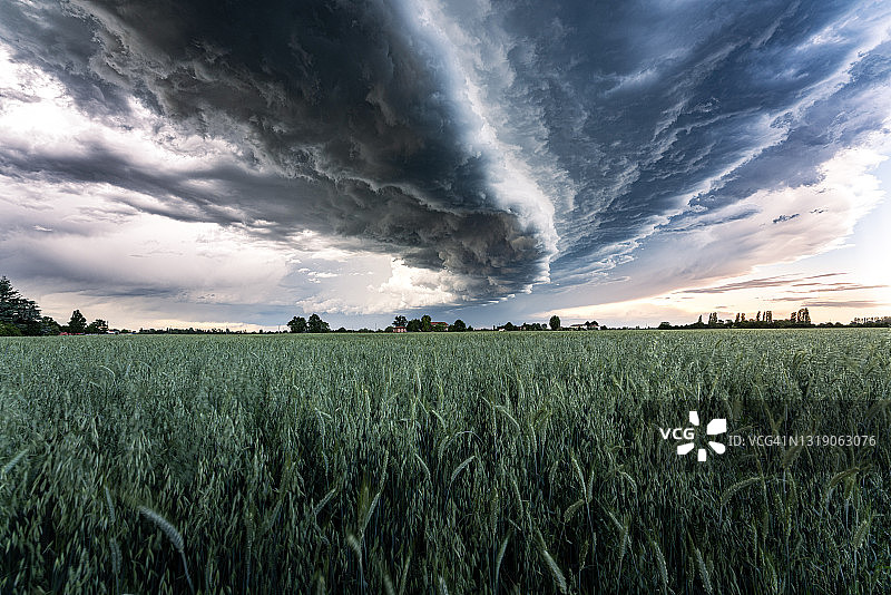 聚集在绿色麦田上的暴风云图片素材