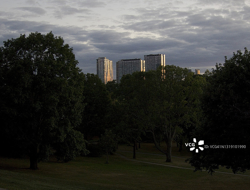 山丘林地上的住宅楼图片素材