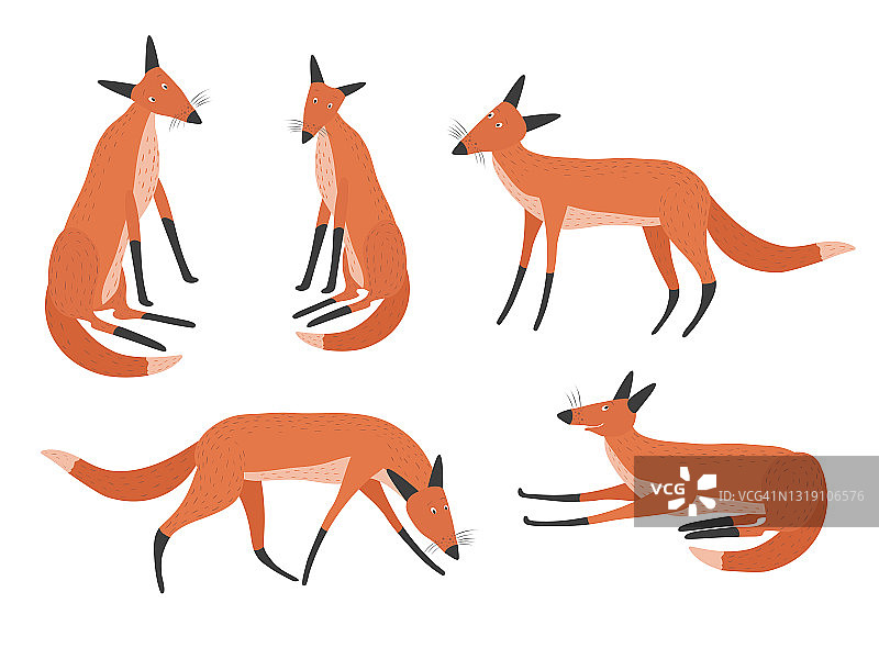 白色背景上不同姿势的红色狐狸手绘插画矢量素材图片素材