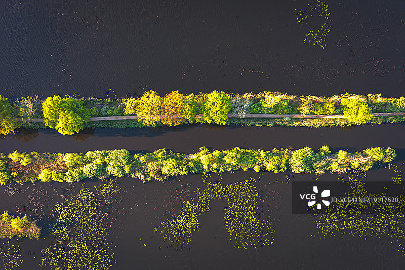 横穿湖泊的带树木的狭长地带的航拍俯视图图片素材