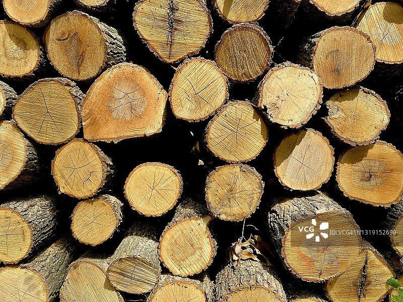 原木/木材加工图片素材