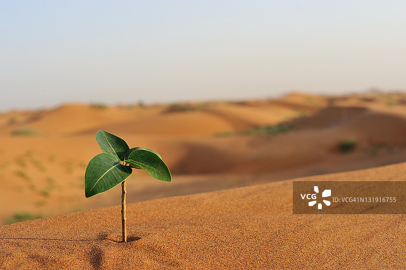 力量与毅力图片素材