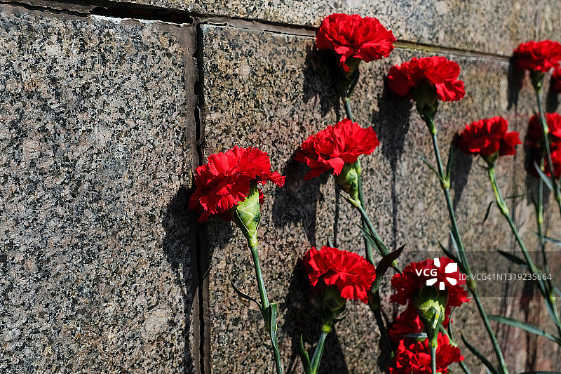 二战中在布拉茨克公墓花岗岩纪念牌上的康乃馨花，纪念阵亡的苏联士兵。“胜利日”（5月9日）的概念，祖先的记忆，在墓碑上献花图片素材