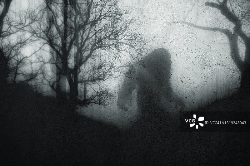 迷雾森林中的神秘大脚怪图片素材