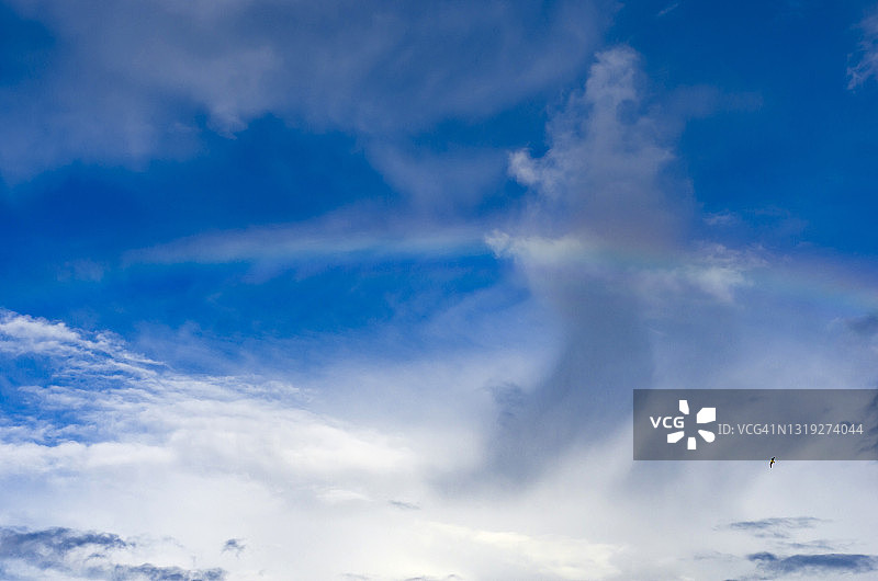 绚丽的天空：彩虹与飞鸟图片素材