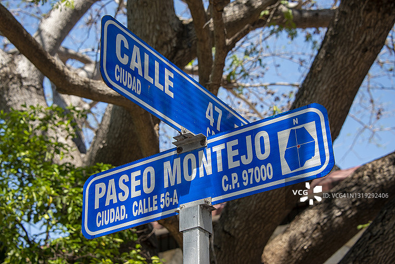 墨西哥梅里达的蒙特霍大道街道路牌图片素材