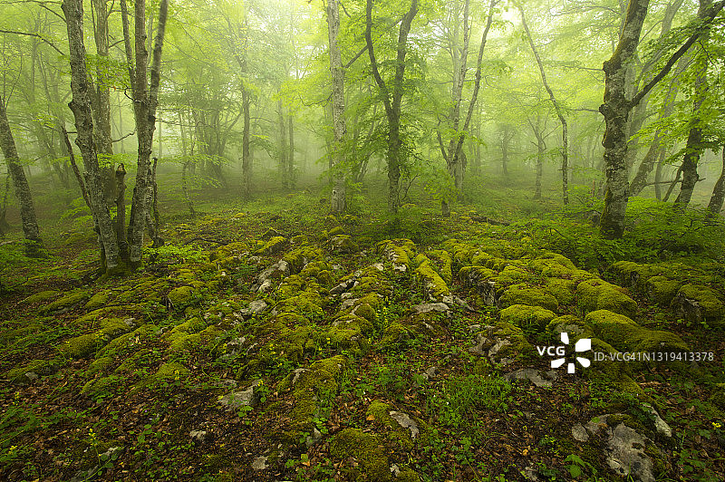 圣地亚哥山自然纪念碑，布尔戈斯，西班牙图片素材