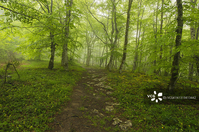 圣地亚哥山自然纪念碑，布尔戈斯，西班牙图片素材