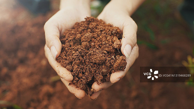 手中的土壤图片素材